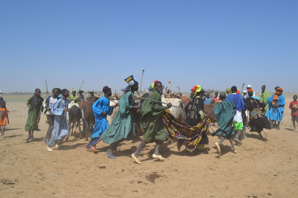 Los fulani son un pueblo nómada principalmente dedicado al pastoreo.