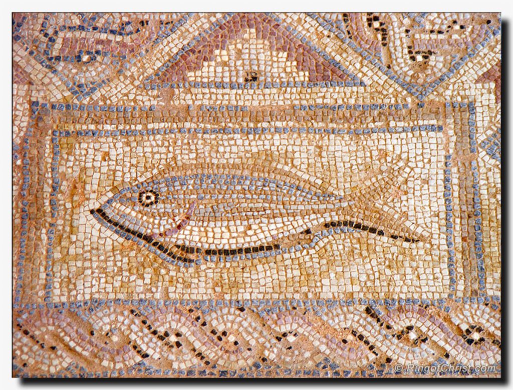 ¿Qué significa el símbolo del pez para los cristianos?