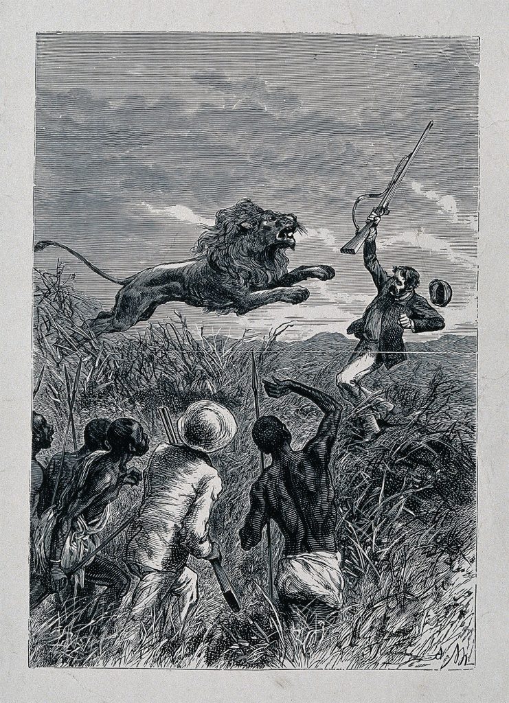 Las narraciones de Livingstone incluían generalmente sus aventuras. Esta ilustración representa su narración de lucha contra un león.
