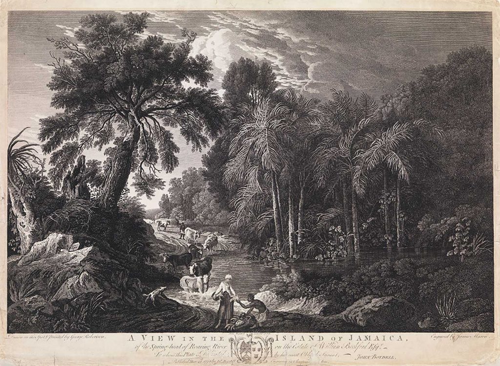 Ilustración de una escena natural de la Isla de Jamaica del siglo XIX
