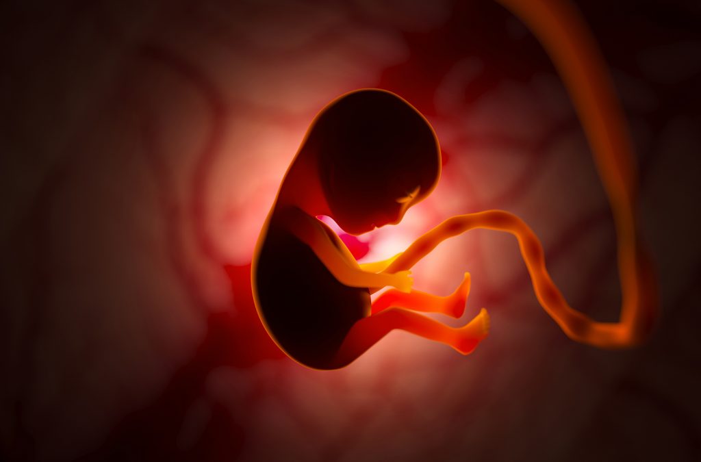 Un debate común sobre el aborto es sobre en qué momento empieza la vida.